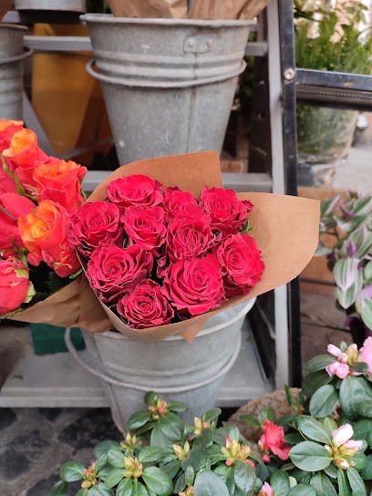 Saverio Fioraio Information, Fiorista a Roma