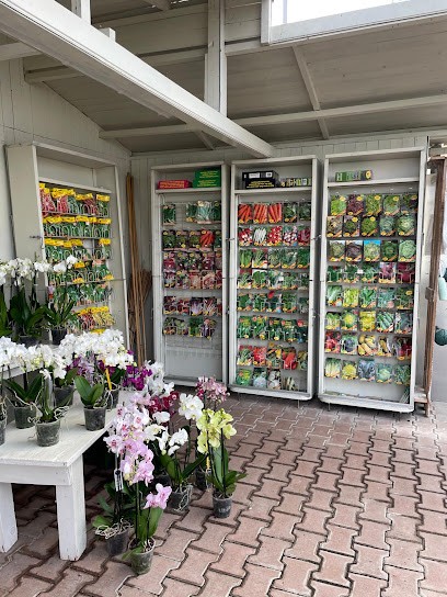 Floricoltura Sanguinetta, Fiorista a Leno