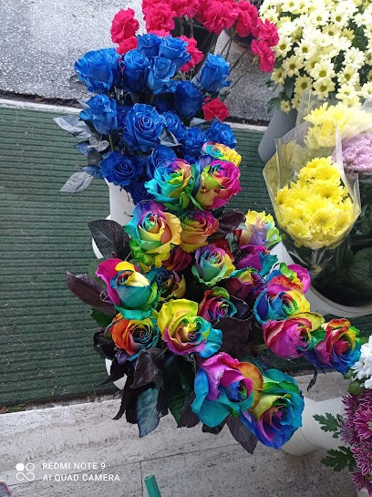 I Fiori Di Richi, Fiorista a Forlì