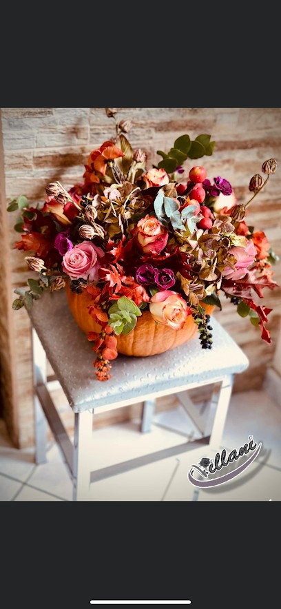 Il giardino dell'Eden, Fiorista a San Marco in Lamis