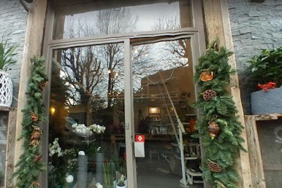 Zenzero Fiori E..., Fiorista a Torino