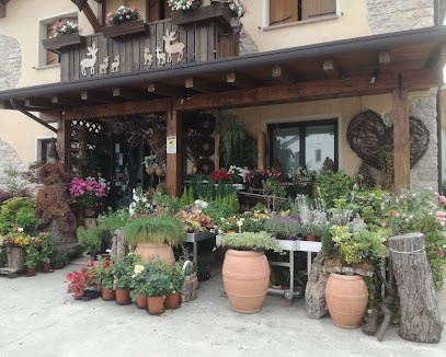 Fioreria Alex Agenzia Funebre, Fiorista a Romano d'Ezzelino