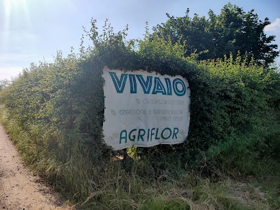 AGRIFLOR Di Galli Davide, Fiorista a Cesano Maderno