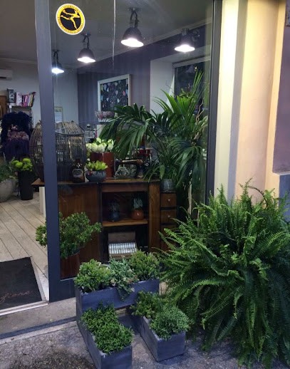 Ci Vuole Un Fiore, Fiorista a Roma