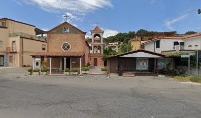 The Royal Flower, Fiorista a Montalto Uffugo