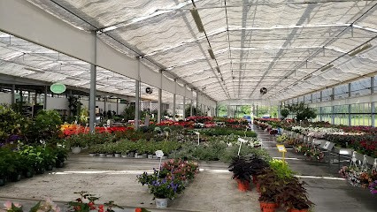 Musina Marco Garden Center, Fiorista a Cormons