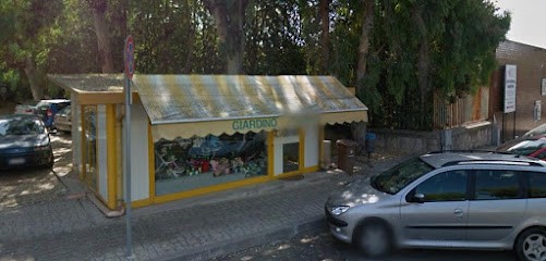 Fiori e Palloncini - Giardino Fiorito di Paola Sanna Snc, Fiorista a Oristano