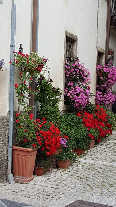 Natura E Arte Non Solo Fiori Di Zappa Rosalia, Fiorista a Pescocostanzo