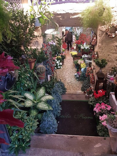 Piccolo Fiore, Fiorista a Napoli