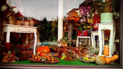 Ditelo Con Un Fiore, Fiorista a Cave