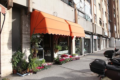 Il Bouquet Di Furlan Michela, Fiorista a Trieste