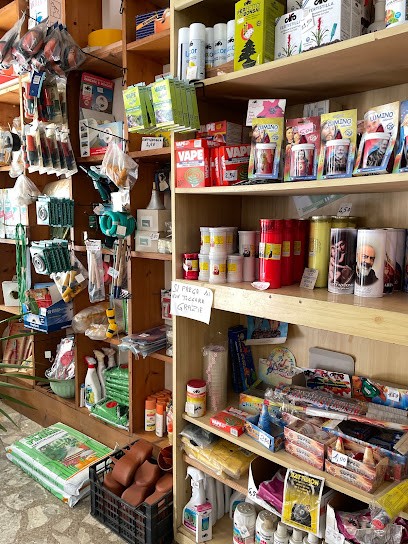 La Primavera, Fiorista a Otranto