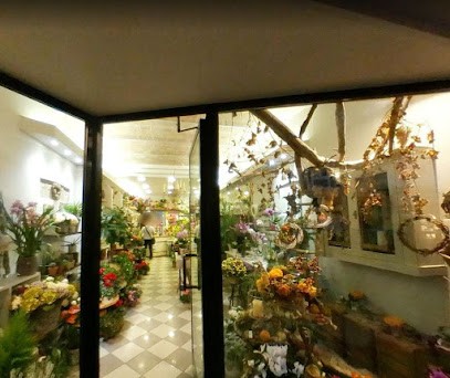 Il Petalo Ravenna, Fiorista a Ravenna