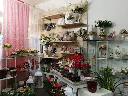 Eden Fiori Di Pacifico Marusca, Fiorista a Mesagne