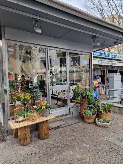 Fiorin Fiorello, Fiorista a Lecco