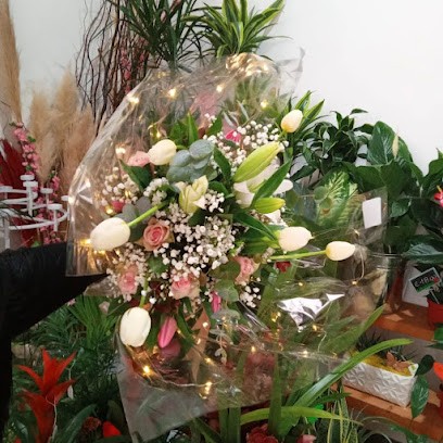 Il Quadrifoglio, Fiorista a Vieste