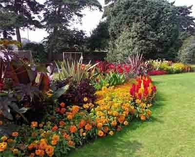 Azienda Agricola Silvestroni Stefano, Fiorista a Forlì