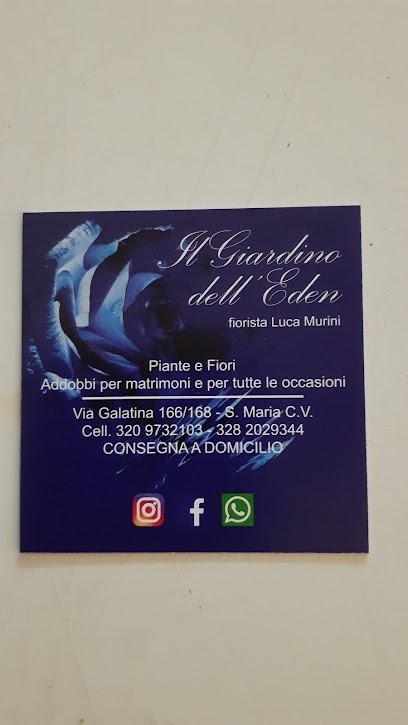 Il Giardino Dell Eden Piante E Fiori Di Luca Murini, Fiorista a Santa Maria Capua Vetere