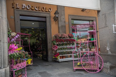 Il Bocciolo Di Vitangeli Paolo, Fiorista a Viterbo