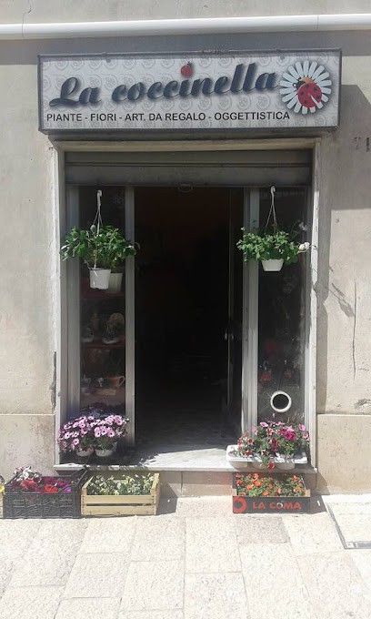 Piante e fiori LA COCCINELLA, Fiorista a Baia e Latina