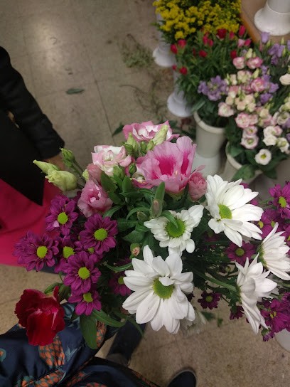 Laura Righi Fiori E Piante, Fiorista a Rufina