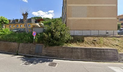 Fiori E Passione Di Quattrociocchi Laura, Fiorista a Veroli