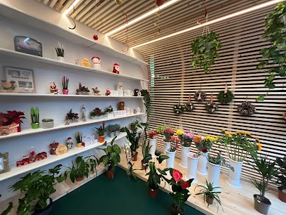 Fiorista Mara Flower designer, Fiorista a Siniscola