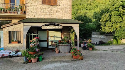 L' Angolo Dei Fiori Di Moscatelli Caterina, Fiorista a Montecchio