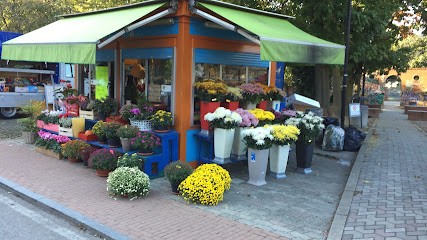 Chiosco Fiorito Di Lela, Fiorista a Opera