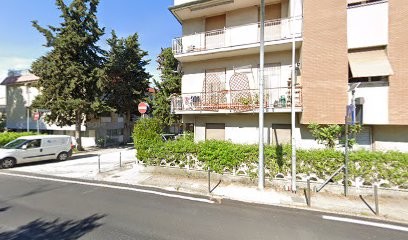 Il Fiore Che Ti Manca Di Ciminelli Emanuela, Fiorista a Falconara Marittima