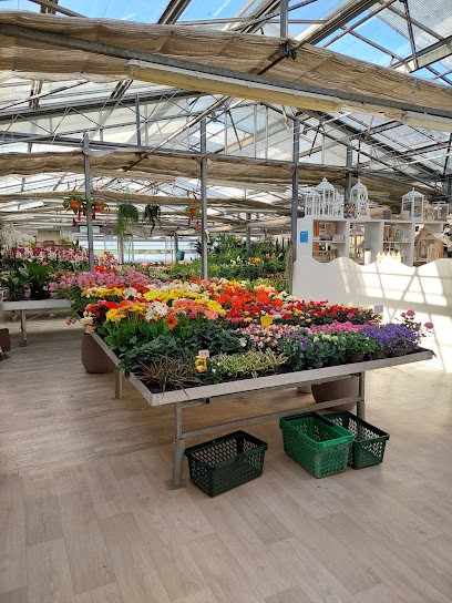 Vivaio Sartini, Fiorista a Ospedaletto