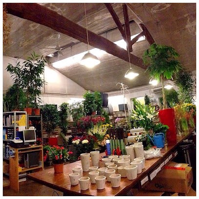 Fiorista FIORAME, Fiorista a Vicenza