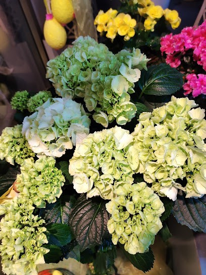 Punto Verde Di Bisi Franca, Fiorista a Sulbiate