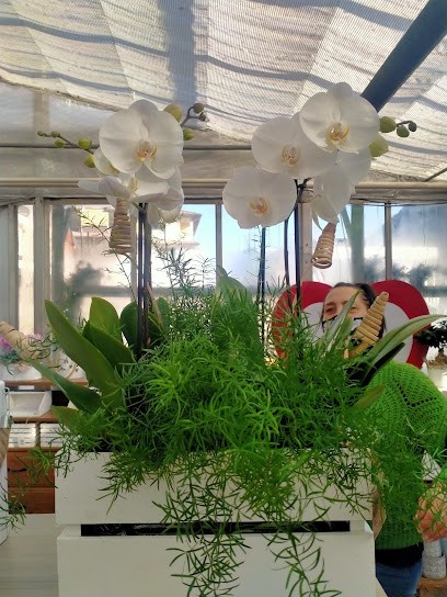 Amico Garden, Fiorista a Trescore Balneario