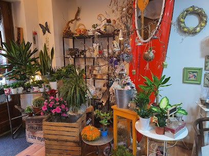 Piantala Idee In Crescita, Fiorista a Torino