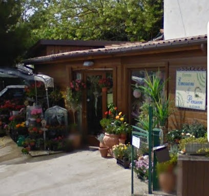 Emozioni E Pensieri, Fiorista a Monte Urano