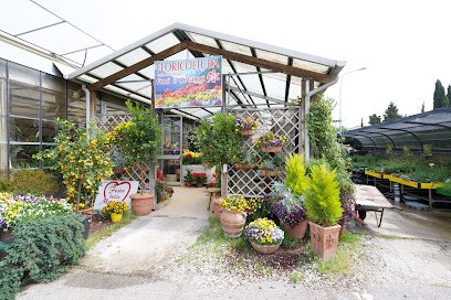 Floricoltura Gallonetto Flora, Fiorista a Pieve di Soligo