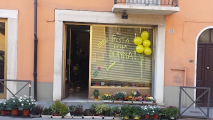 Debby's Flowers, Fiorista a Fossano