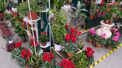 Il Giardino Di Sara, Fiorista a Roma