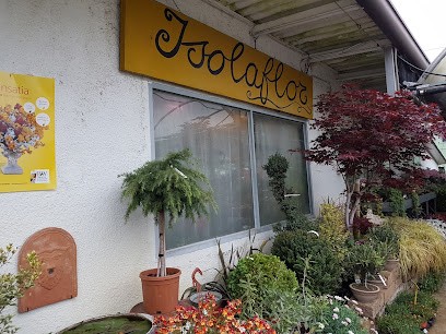 Isolaflor, Fiorista a Ponte San Nicolò