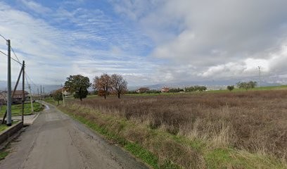 Gigante Giuseppe, Fiorista a Palomonte