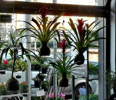 Giardinaggio, Fiorista a Napoli