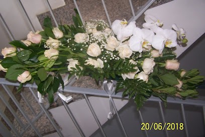 Frezzaroli Cesare, Fiorista a Mugnano del Cardinale