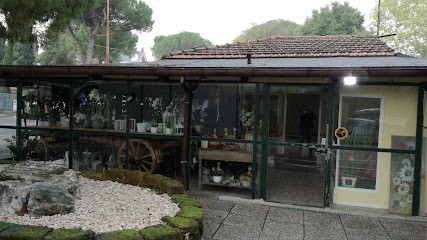 De Maio Fiori S.N.C. Di Frenquellucci Federica & C., Fiorista a Pesaro