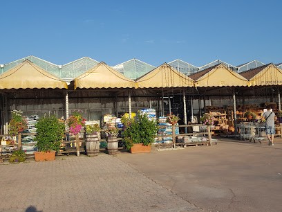 Floricoltura Marcon, Fiorista a Pojana Maggiore