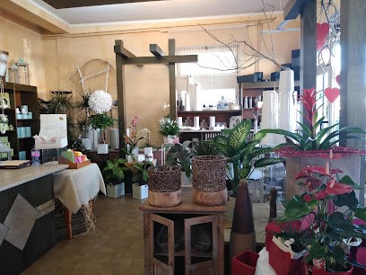 Bove Antonio, Fiorista a Sabaudia