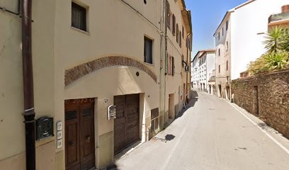 Piante & Fiori Di Martellini Srl, Fiorista a Massa Marittima