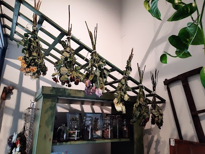 Tina officina floreale, Fiorista a Pianoro