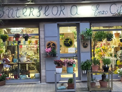 Giardino Cibelli, Fiorista a Salerno