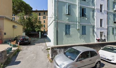 Seppone Piante, Fiorista a Genova